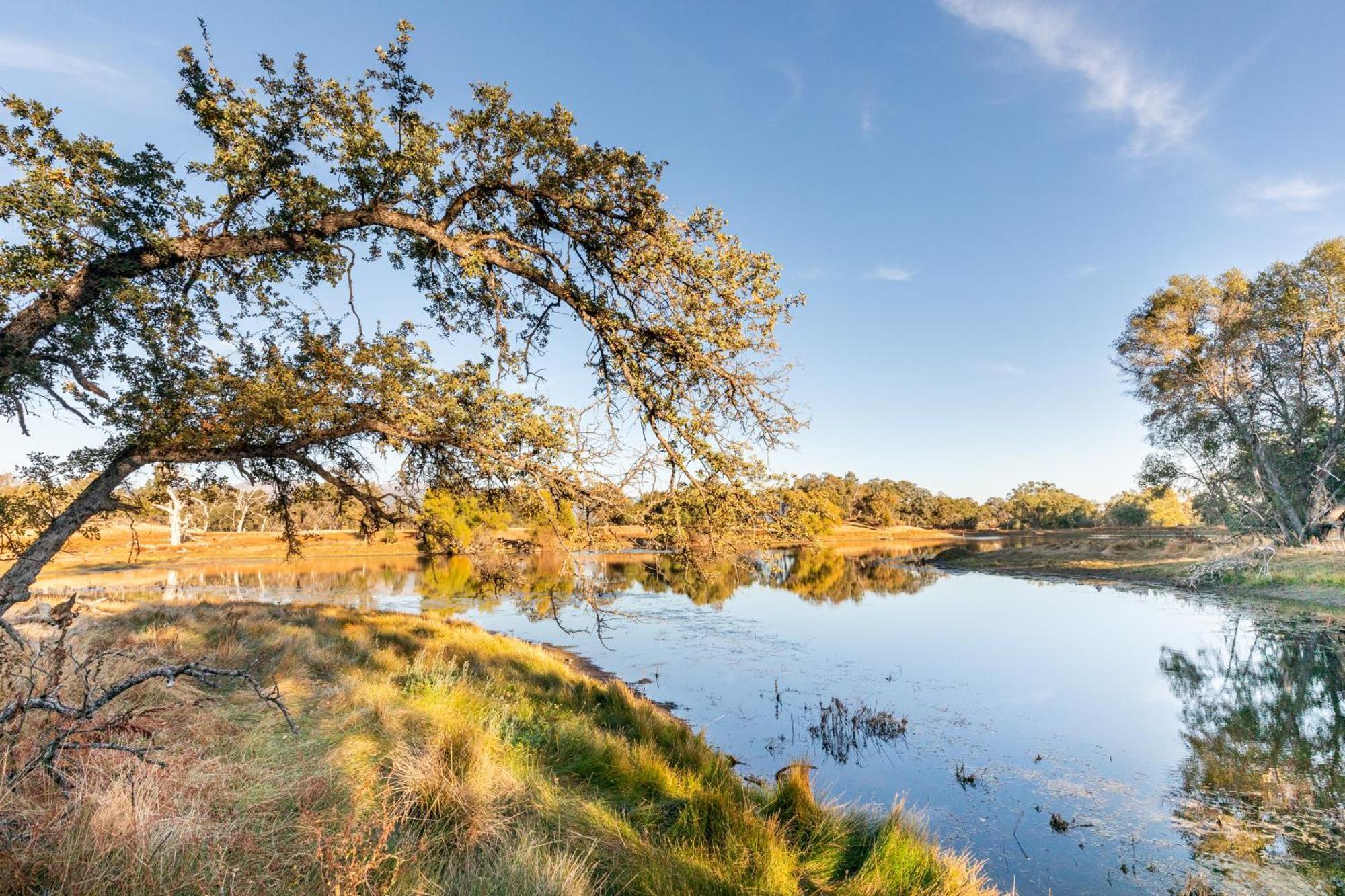 Rolling Oaks Ranch - 200 Acres Of Lakeside Beauty & Countryside Serenity Mariposa Exteriér fotografie