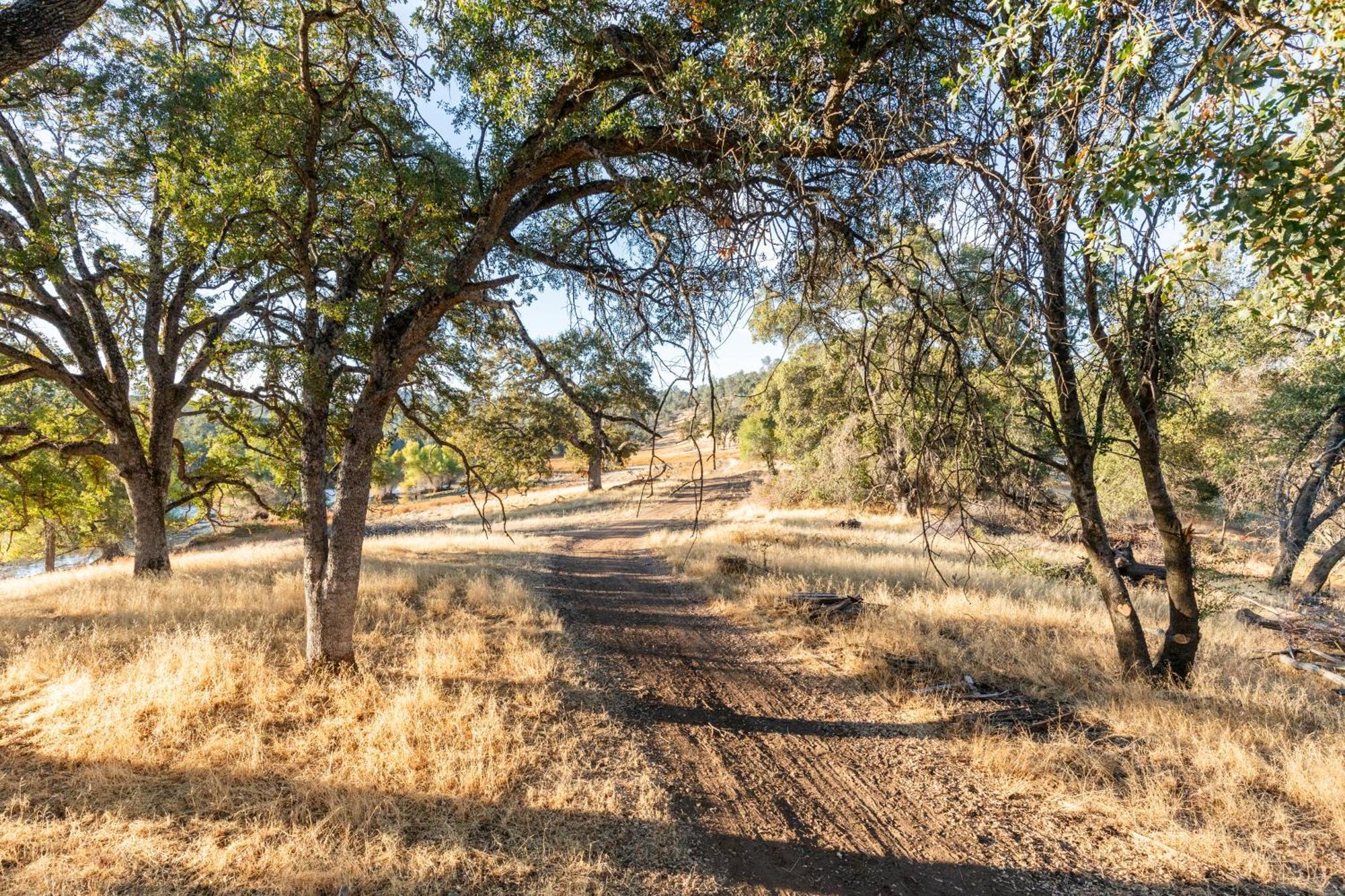 Rolling Oaks Ranch - 200 Acres Of Lakeside Beauty & Countryside Serenity Mariposa Exteriér fotografie
