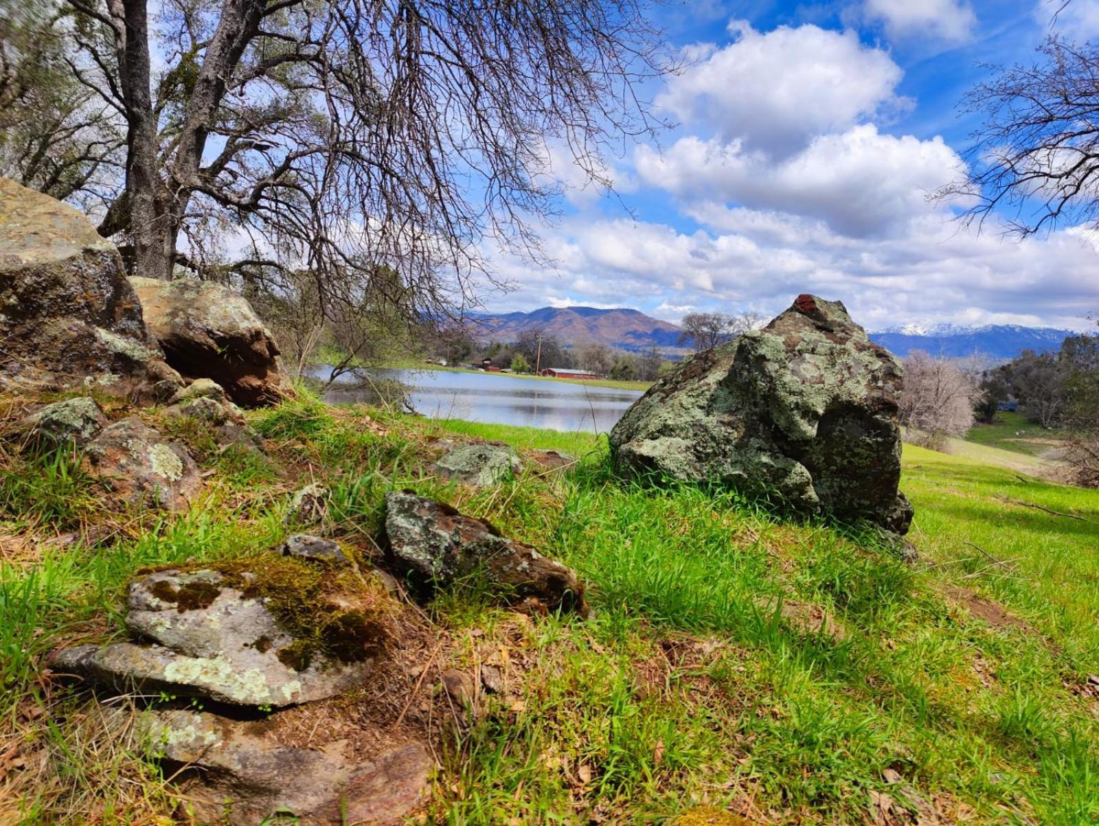 Rolling Oaks Ranch - 200 Acres Of Lakeside Beauty & Countryside Serenity Mariposa Exteriér fotografie