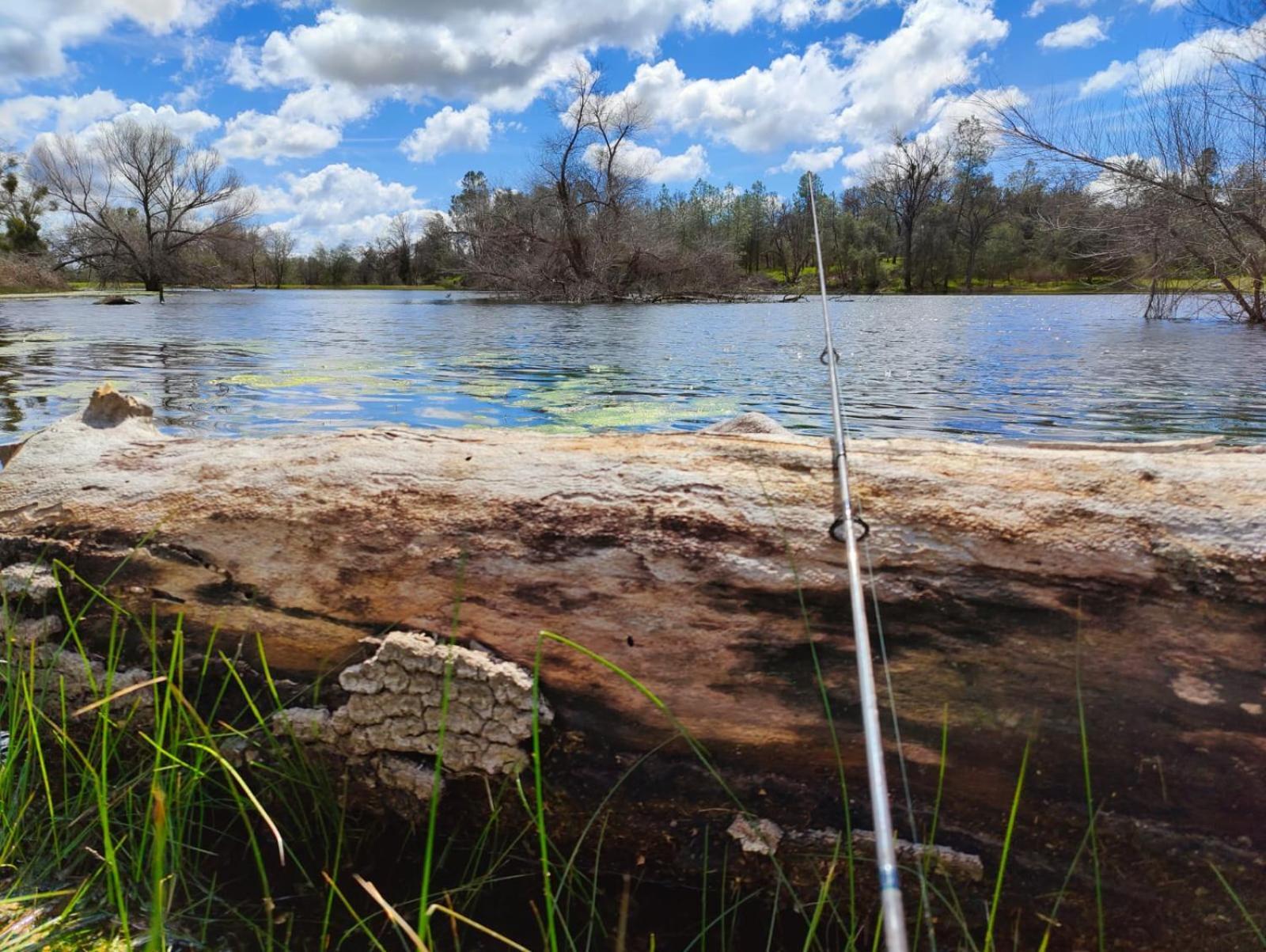 Rolling Oaks Ranch - 200 Acres Of Lakeside Beauty & Countryside Serenity Mariposa Exteriér fotografie