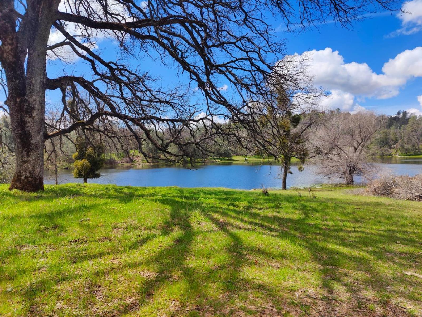 Rolling Oaks Ranch - 200 Acres Of Lakeside Beauty & Countryside Serenity Mariposa Exteriér fotografie